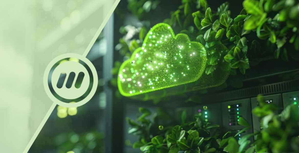 Hosting Green: L’impatto ambientale dei server