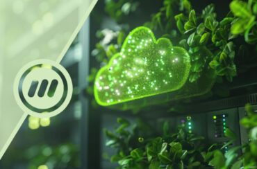Hosting Green: L’impatto ambientale dei server 